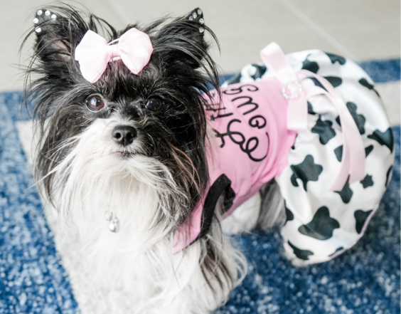 Streetwear with an Edge: What Makes Rella (Cruella) Stand Out